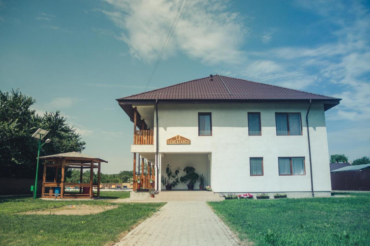 Pensiunea La Nenea Iancu Greci Exterior foto