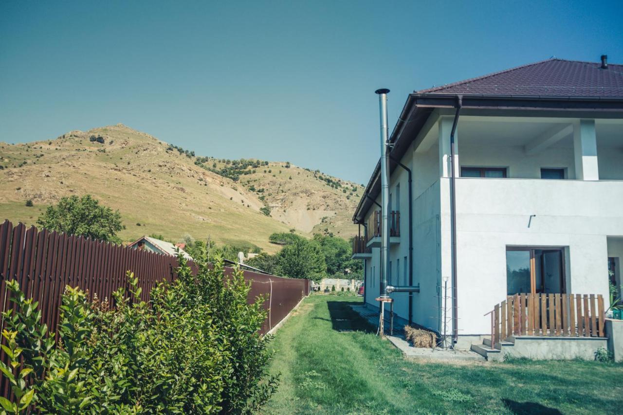 Pensiunea La Nenea Iancu Greci Exterior foto